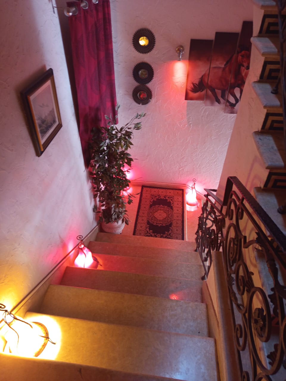 WhatsApp Image 2026-01-27 at 12.25.04